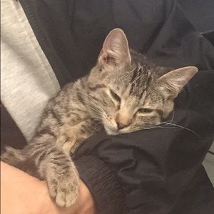 Meet your Posher, Tina